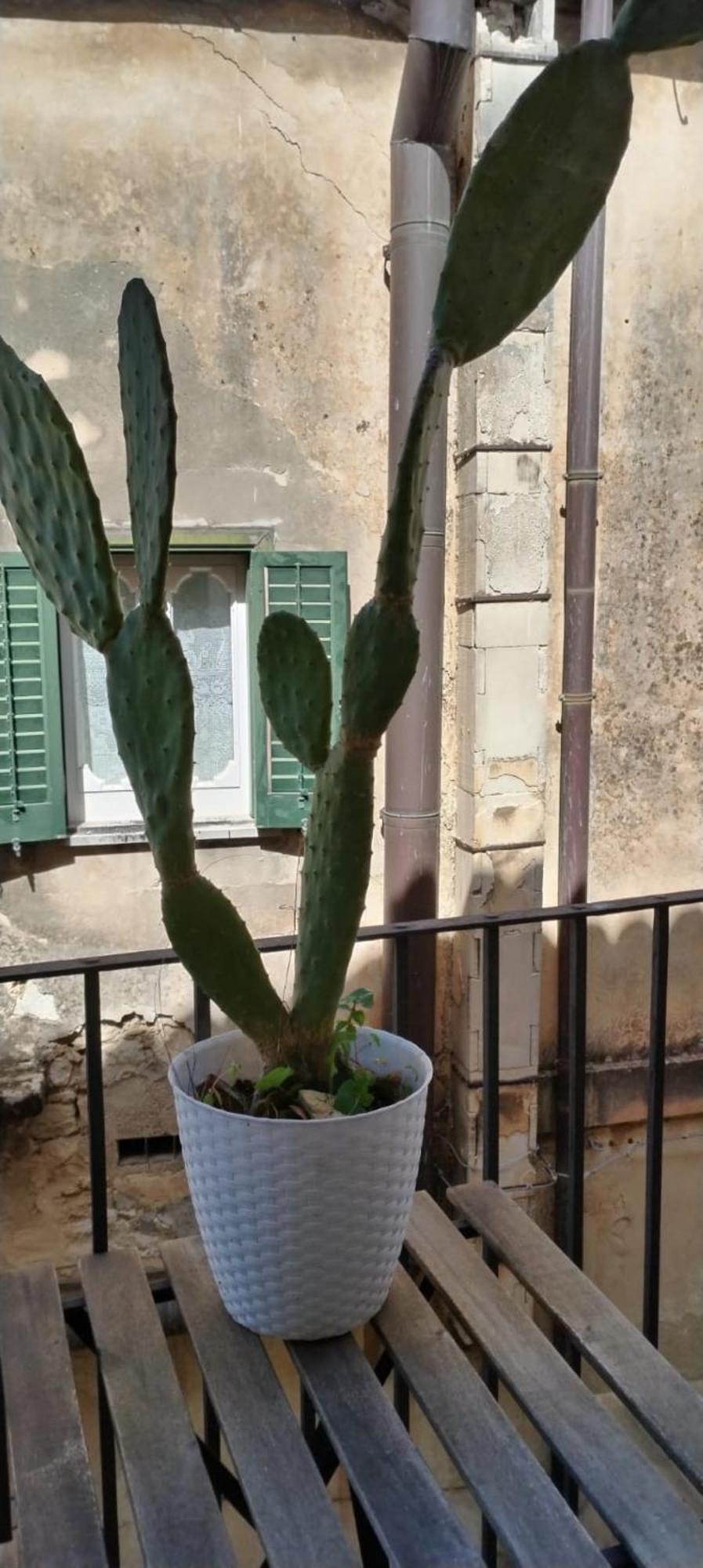 Residenza Donnafugata B&B Ragusa Kültér fotó
